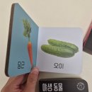 블루래빗 오감발달 첫놀이감 인스타 공구 후기