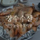 장수농수산물 | [안양농수산물시장] 장수수산 l 가성비 좋은 대하 구매 솔직 후기 (내돈내산)