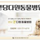 분당다원동물병원 이미지