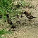 영등포시장역 3번 출입구 이미지