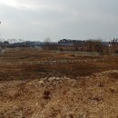 통일로 금촌농장 이미지