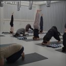 바디온 스튜디오 이미지