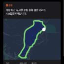 [구수한사람들-검은콩선식] 바로 볶은 국산 블랙푸드