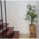 포레스트펜션 - 포천시 산정호수로610번길 39 | 포레스트펜션