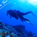 Jam(잼)22 이미지