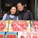 지곡청과 이미지