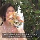 원시쪽갈비 이미지