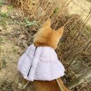 나주종합동물병원 이미지