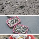 비토섬신우리조트 이미지