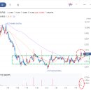 우리기전 이미지