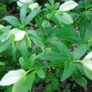 경상남도 수목원 이미지