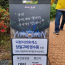 별빛정원펜션 이미지