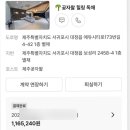 대정읍-2 | 제주도 서귀포 대정읍 곶자왈 힐링 독채 2주살이 숙소 후기