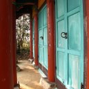 완도 장좌리 당제 및 당굿 이미지