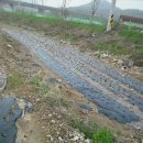 봉학농장 이미지