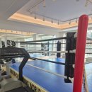 신은철복싱월드 이미지