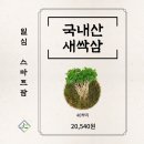 일심농산물