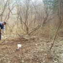 김종기농장 이미지