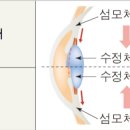 아름다운안경원 이미지