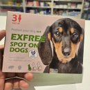 영천심야약국 이미지