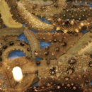 산해진미 이미지