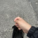옹기종기푸줏간