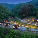 비누크