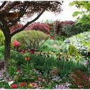 리포레 | 가평 리포레 풀램핑 서울 근교 가족 여행 경기도 가볼만한곳