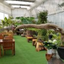 바우바우 이미지