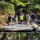 현무태권도 이미지