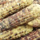 국희농장 이미지