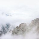 내설악농장 이미지