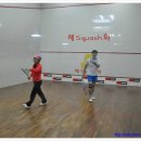 세화스쿼시 이미지