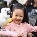 숲을향한시선 이미지