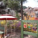 개나리펜션 이미지