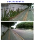 기업은행(오대문약국) 앞 이미지