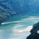 소나무와 호수 이미지