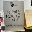 ▶️ 대전 둔산동 피부과,성형외과/흉터없이 문신 잘 지우는 병원 / 제모,레이저 맛집 / &lt;카라의원&gt;