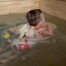 노스토스 이미지