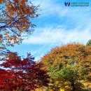 연호요양병원 | 요양병원｜ 연호요양병원에서 누리는 강원특별자치도 혜택