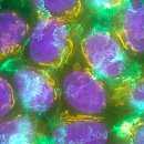 Glow PT Studio 이미지