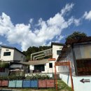 세인트354 이미지