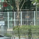 디큐브시티 타워동 이미지