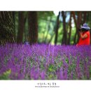 솔밭공원1 이미지