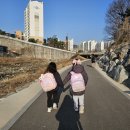 리더뮨 SR103 초등학생 키성장영양제