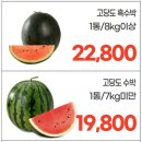 세일마트 이미지