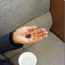 싹도라지건강