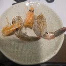 스시혼 - 창원시 성산구 용지로249번길 1 | 창원 가로수길 초밥맛집 [스시혼] 정식코스 후기🍣🍣