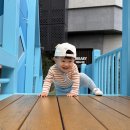 다솜어린이집 | 일상 (경산다솜생태체험관/경주첨성대꽃/불로동고분군)