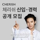 드림잡 이미지
